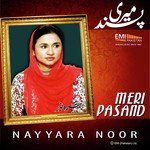 Ae Ishq Humein Barbad Na Kar-cover