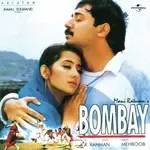 Tu Hi Re (From &quot;Bombay&quot;)-cover