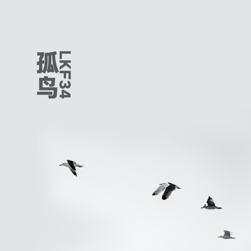 孤鸟不成群-cover
