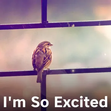 I'm So Excited-cover