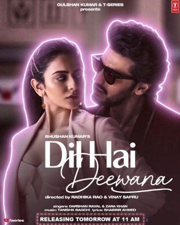 Dil Hai Deewana-cover