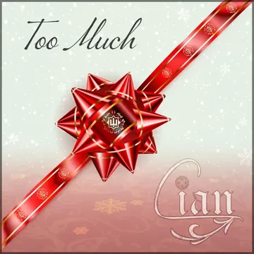 Too Much-cover