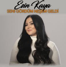 Seni Gördüm Neşem Geldi-cover