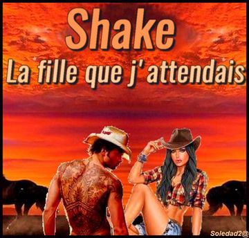 LA FILLE QUE J'ATTENDAIS* Shake* Sylvie Soléo*-cover
