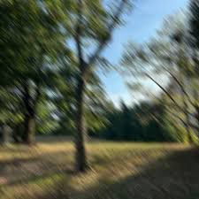 Habits (Sped Up Version)-cover