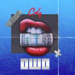 Owo-cover