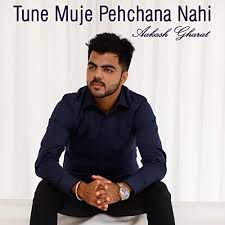 Tune Mujhe Pehchana Nahin-cover