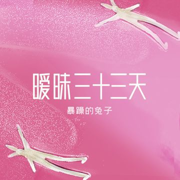 暧昧三十三天-cover