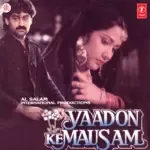 Chaudhvin Raat Hai-cover
