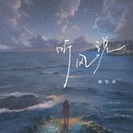听风说-cover