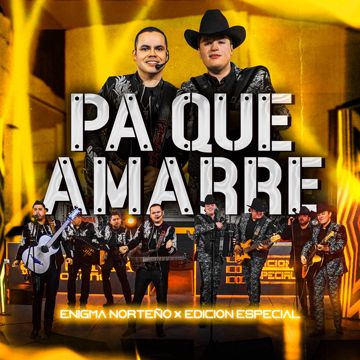 Ya Regresamos Al Ruedo (Fernando Meza) - En Vivo-cover