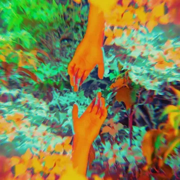 Whirlwind-cover
