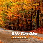 Biết Tìm Đâu