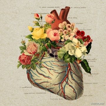 Птичка mix-cover