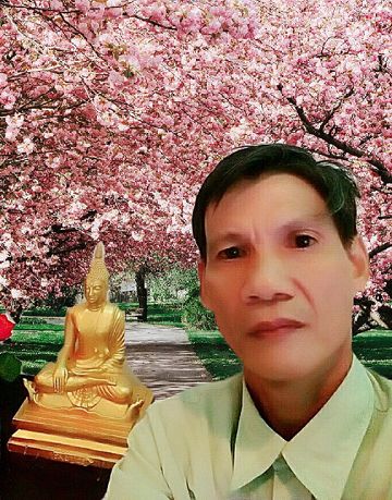 Chuyện hoa sim (sc)-cover