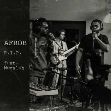 R.I.P. (Acoustic)-cover