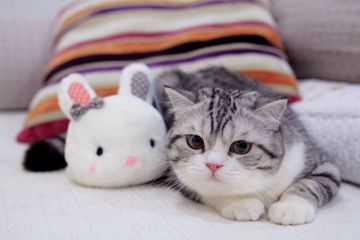 อสูรกาย-cover