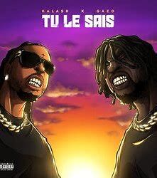 Tu le sais (Feat. Gazo)-cover