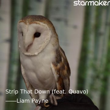 Strip That Down (feat. Quavo)-cover