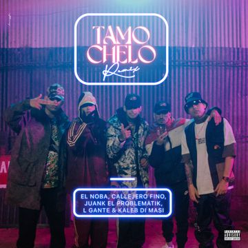 Tamo Chelo (Remix)-cover
