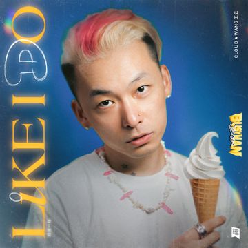 Like I Do-cover