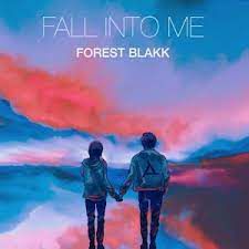 Fall Into Me (Acoustic Version)-cover