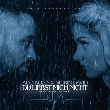 Du liebst mich nicht (Phil The Beat Club-Remix)-cover
