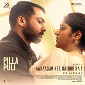 Pilla Puli-cover