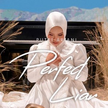 Perfect Liar