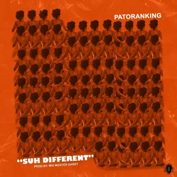 Suh Different-cover