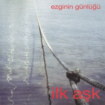 1980-cover