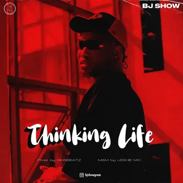THINKING LIFE-cover