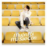 Muộn Rồi Mà Sao Còn-cover