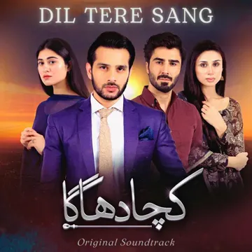 Dil Tere Sang