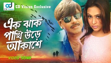 এক ঝাক পাখি উড়ে আকাশে