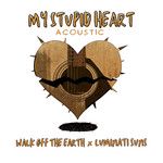 My Stupid Heart(Acoustic)-cover