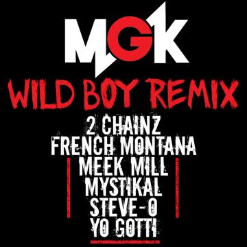 Wild Boy-cover
