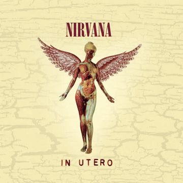 nirvana-milk-it-cover-image