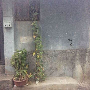 겁-cover