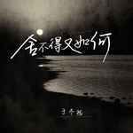舍不得又如何-cover