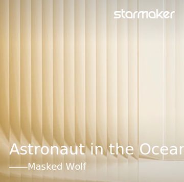 Astronaut in the Ocean-cover