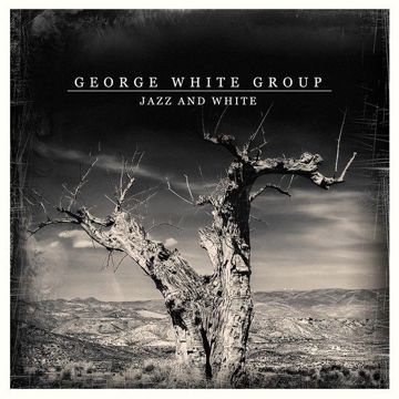 George White Group - Nothing Compares 2 U-cover