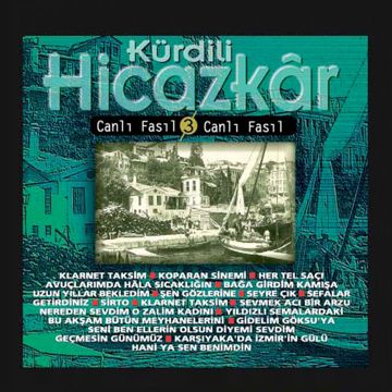 Sevmekten Kim Usanır-cover
