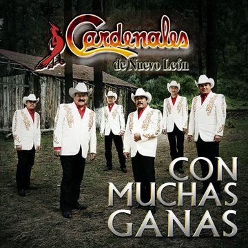Belleza Cantina