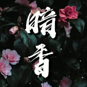 暗香(Live)-cover