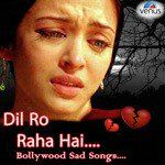 Jab Koi Baat Bigad Jaye-cover