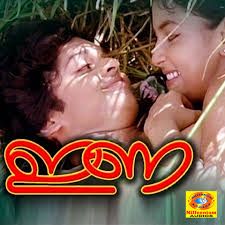 Vellichillum Vithari -cover