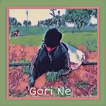 Gori Ne-cover