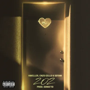202 (Remix)-cover