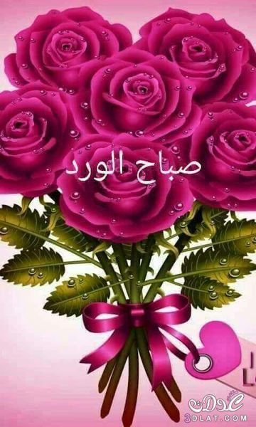 امال الوطن